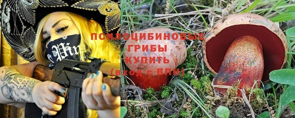ALPHA PVP Заводоуковск