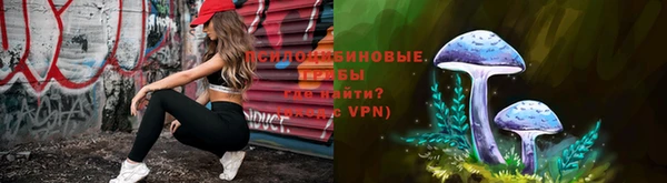 прущие грибы Заволжье