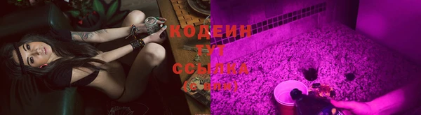 прущие грибы Заволжье