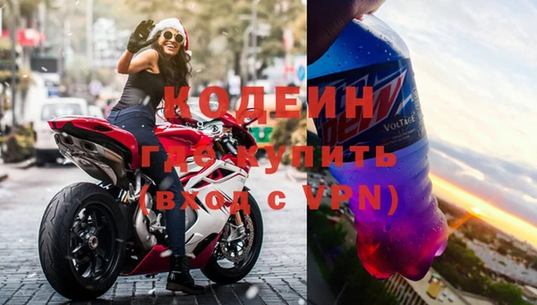 прущие грибы Заволжье