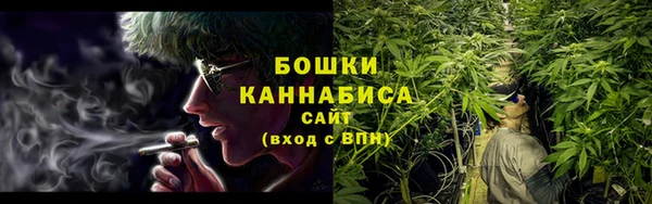 прущие грибы Заволжье